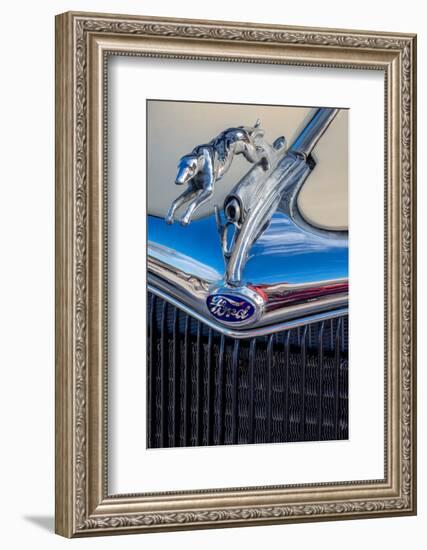 Ford Greyhound hood ornament-Jim Engelbrecht-Framed Photographic Print