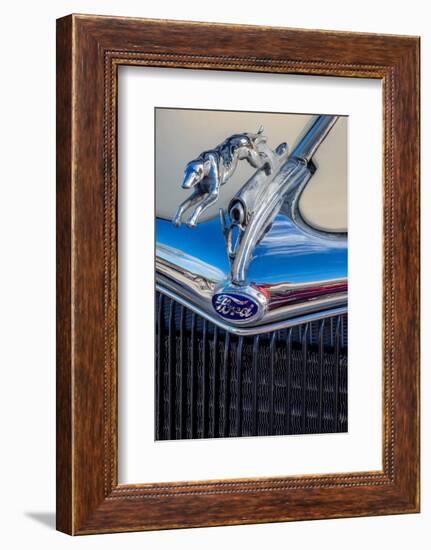 Ford Greyhound hood ornament-Jim Engelbrecht-Framed Photographic Print