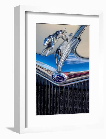 Ford Greyhound hood ornament-Jim Engelbrecht-Framed Photographic Print