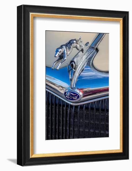 Ford Greyhound hood ornament-Jim Engelbrecht-Framed Photographic Print