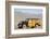 Ford woodie deluxe station wagon 1935-Simon Clay-Framed Photographic Print