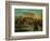 Fording a River in Morocco, 1858-Eugene Delacroix-Framed Giclee Print