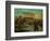 Fording a River in Morocco, 1858-Eugene Delacroix-Framed Giclee Print