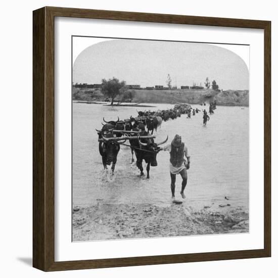 Fording the Modder River, Boer War, South Africa, 15th February 1901-Underwood & Underwood-Framed Giclee Print
