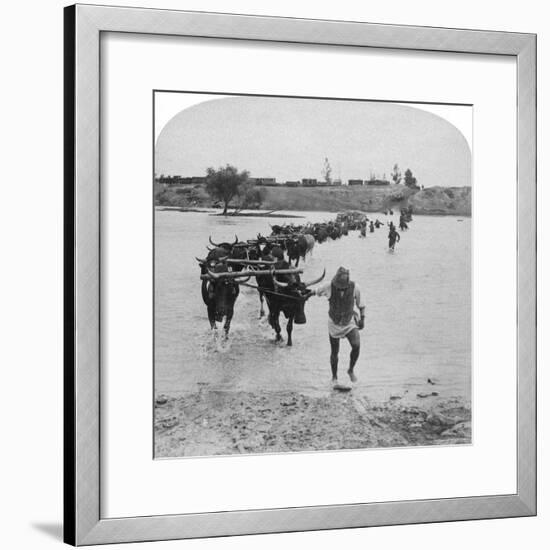 Fording the Modder River, Boer War, South Africa, 15th February 1901-Underwood & Underwood-Framed Giclee Print