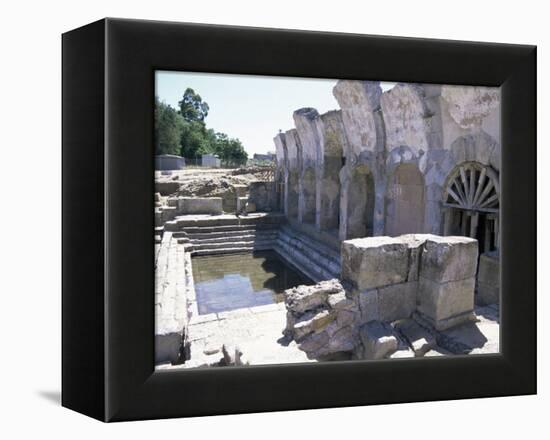 Fordongianus Roman Baths, Sardinia, Italy-Sheila Terry-Framed Premier Image Canvas