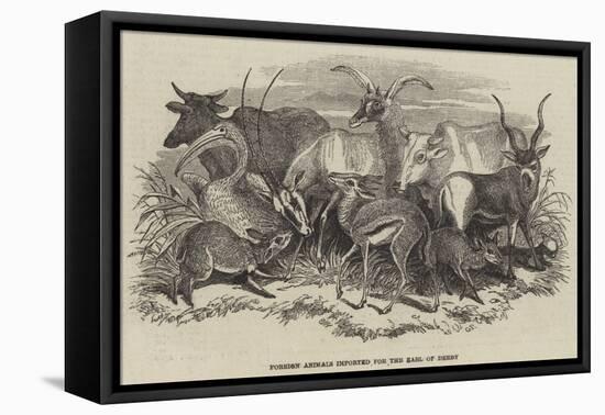 Foreign Animals Imported for the Earl of Derby-null-Framed Premier Image Canvas