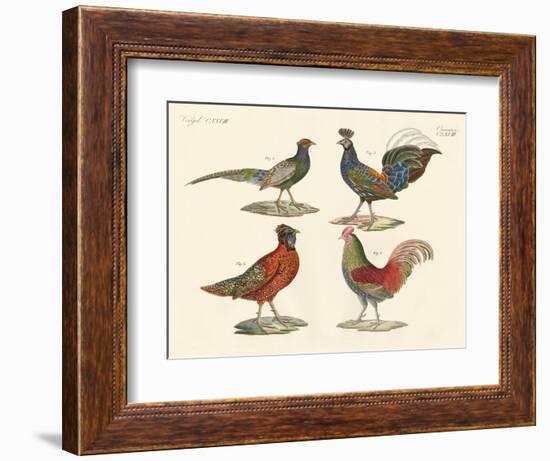 Foreign Birds-null-Framed Giclee Print