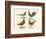 Foreign Birds-null-Framed Giclee Print