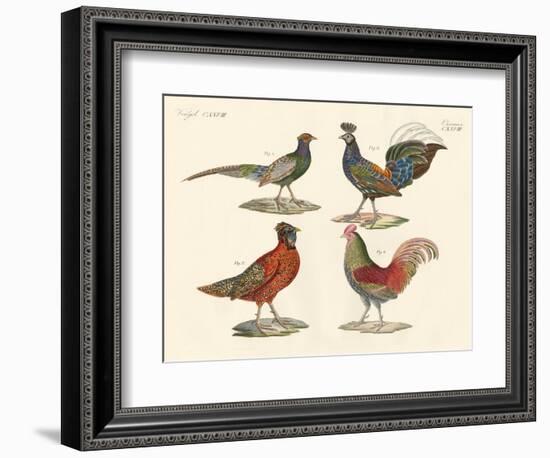 Foreign Birds-null-Framed Giclee Print