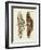 Foreign Butterflies-null-Framed Giclee Print