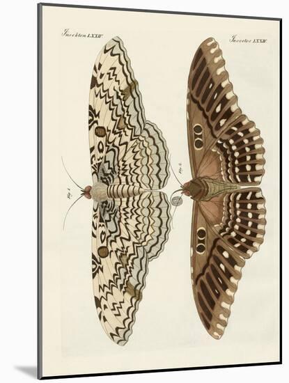 Foreign Butterflies-null-Mounted Giclee Print