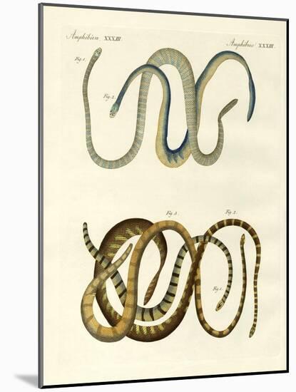 Foreign Kinds of Blindworms-null-Mounted Giclee Print