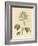 Foreign Poisonous Plants-null-Framed Giclee Print