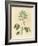 Foreign Poisonous Plants-null-Framed Giclee Print