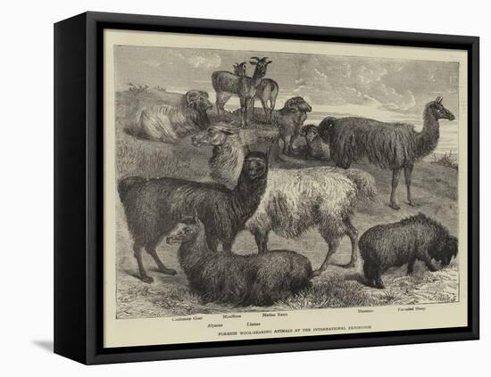 Foreign Wool-Bearing Animals at the International Exhibition-null-Framed Premier Image Canvas