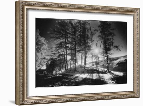 Forelacka Burial Ground, County Offaly, Ireland-Simon Marsden-Framed Giclee Print