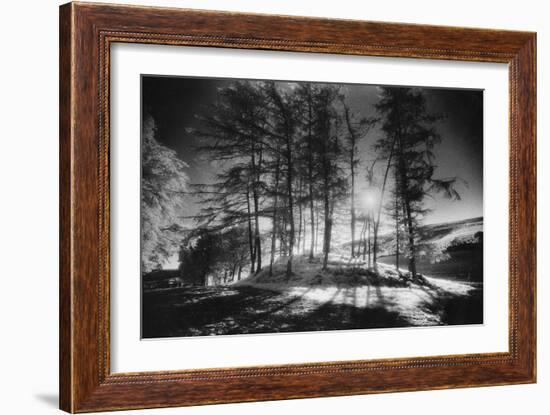 Forelacka Burial Ground, County Offaly, Ireland-Simon Marsden-Framed Giclee Print