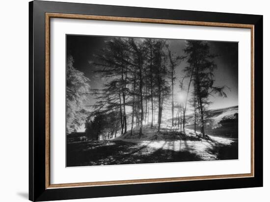 Forelacka Burial Ground, County Offaly, Ireland-Simon Marsden-Framed Giclee Print