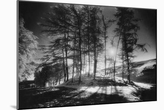 Forelacka Burial Ground, County Offaly, Ireland-Simon Marsden-Mounted Giclee Print