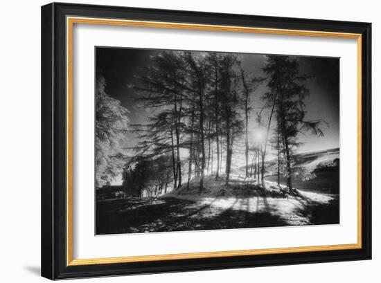 Forelacka Burial Ground, County Offaly, Ireland-Simon Marsden-Framed Giclee Print