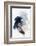 Foreshadow II-PI Studio-Framed Photographic Print