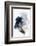 Foreshadow II-PI Studio-Framed Photographic Print