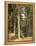 Forest, 1892-Ivan Ivanovitch Shishkin-Framed Premier Image Canvas