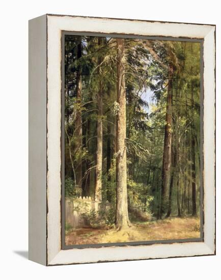 Forest, 1892-Ivan Ivanovitch Shishkin-Framed Premier Image Canvas