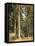 Forest, 1892-Ivan Ivanovitch Shishkin-Framed Premier Image Canvas