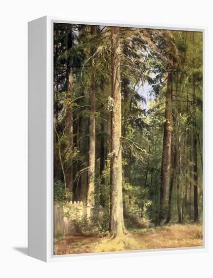 Forest, 1892-Ivan Ivanovitch Shishkin-Framed Premier Image Canvas