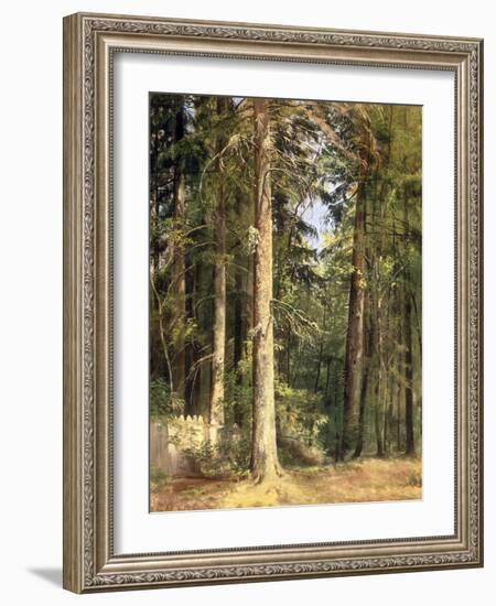 Forest, 1892-Ivan Ivanovitch Shishkin-Framed Giclee Print