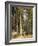 Forest, 1892-Ivan Ivanovitch Shishkin-Framed Giclee Print