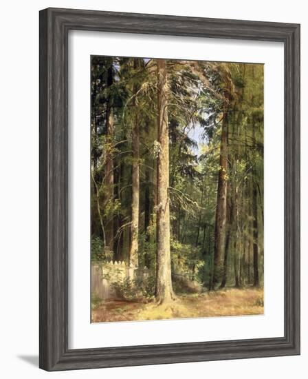 Forest, 1892-Ivan Ivanovitch Shishkin-Framed Giclee Print