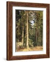 Forest, 1892-Ivan Ivanovitch Shishkin-Framed Giclee Print