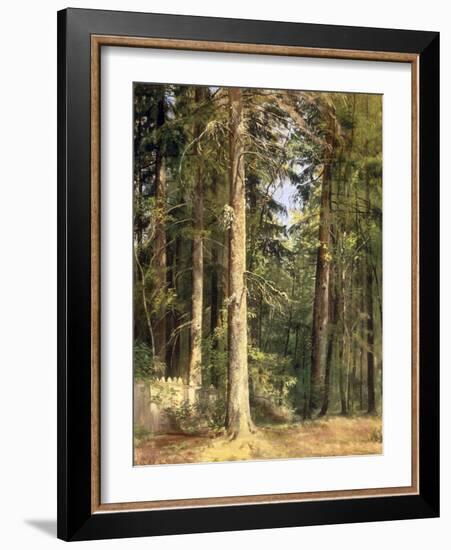 Forest, 1892-Ivan Ivanovitch Shishkin-Framed Giclee Print