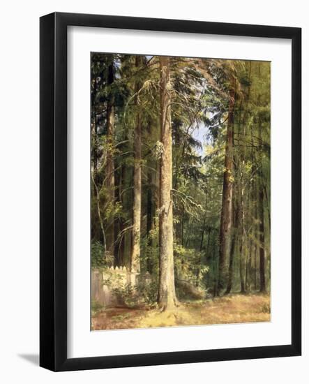 Forest, 1892-Ivan Ivanovitch Shishkin-Framed Giclee Print