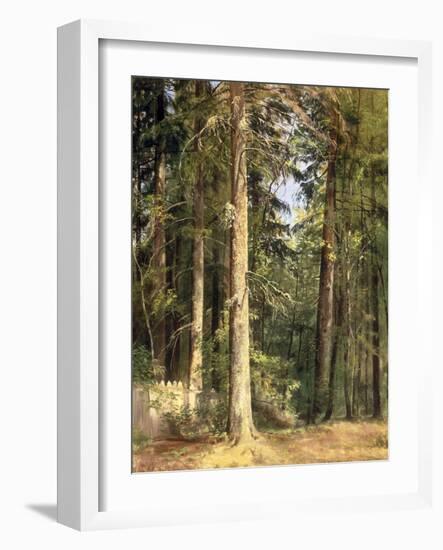 Forest, 1892-Ivan Ivanovitch Shishkin-Framed Giclee Print