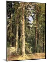 Forest, 1892-Ivan Ivanovitch Shishkin-Mounted Giclee Print