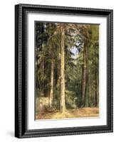 Forest, 1892-Ivan Ivanovitch Shishkin-Framed Giclee Print