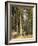 Forest, 1892-Ivan Ivanovitch Shishkin-Framed Giclee Print