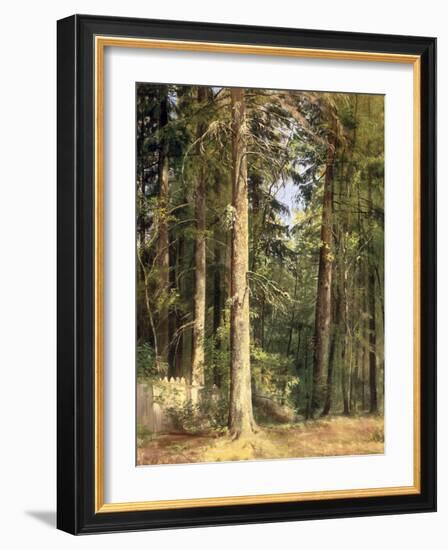 Forest, 1892-Ivan Ivanovitch Shishkin-Framed Giclee Print