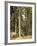 Forest, 1892-Ivan Ivanovitch Shishkin-Framed Giclee Print