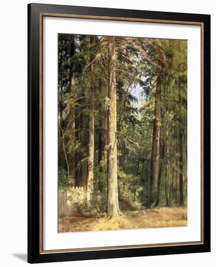 Forest, 1892-Ivan Ivanovitch Shishkin-Framed Giclee Print