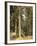 Forest, 1892-Ivan Ivanovitch Shishkin-Framed Giclee Print