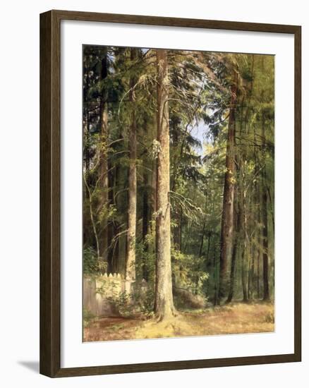 Forest, 1892-Ivan Ivanovitch Shishkin-Framed Giclee Print