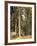 Forest, 1892-Ivan Ivanovitch Shishkin-Framed Giclee Print