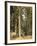 Forest, 1892-Ivan Ivanovitch Shishkin-Framed Giclee Print