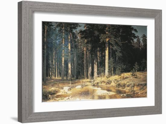 Forest, 1898-Ivan Ivanovitch Shishkin-Framed Giclee Print