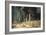 Forest, 1898-Ivan Ivanovitch Shishkin-Framed Giclee Print